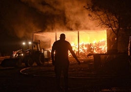 Un peligroso incendio obliga a evacuar a más de 5.000 personas en las afueras de Atenas