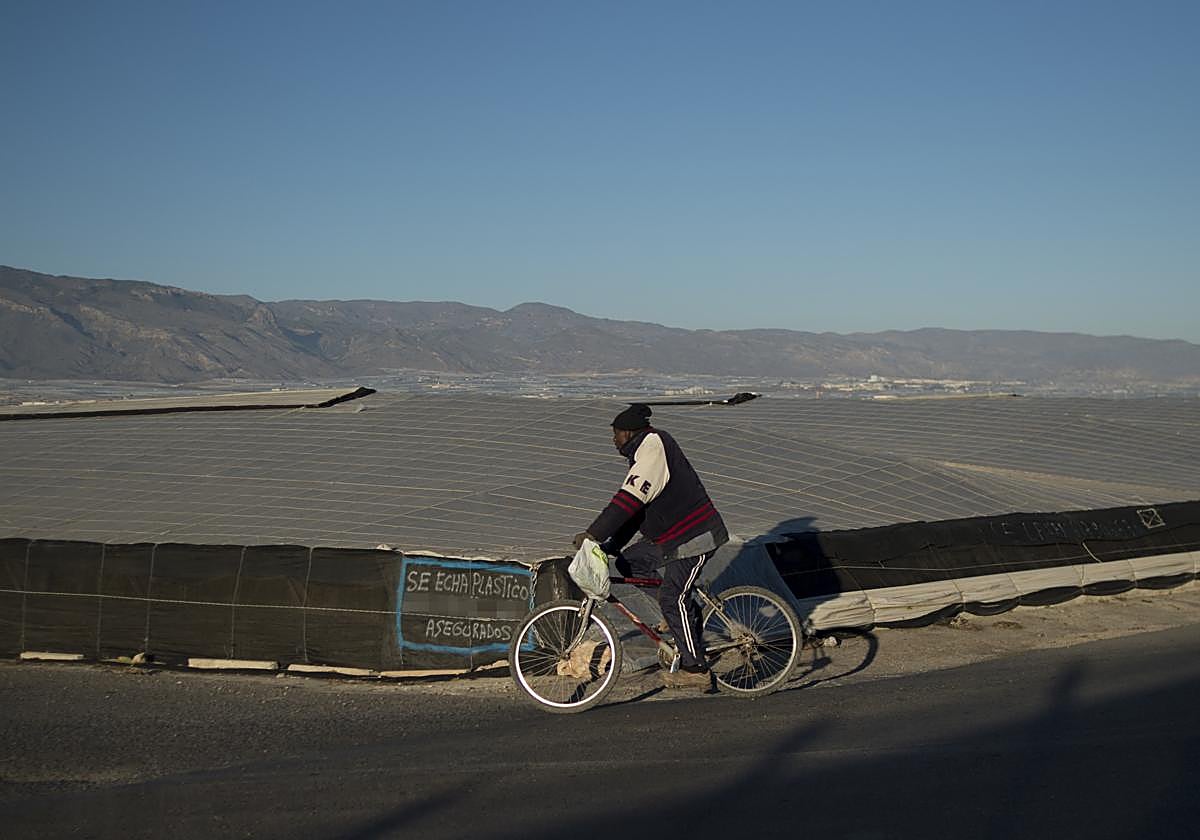 Inmigrante de regreso a casa al finalizar una jornada en el 'mar de plástico' de El Ejido