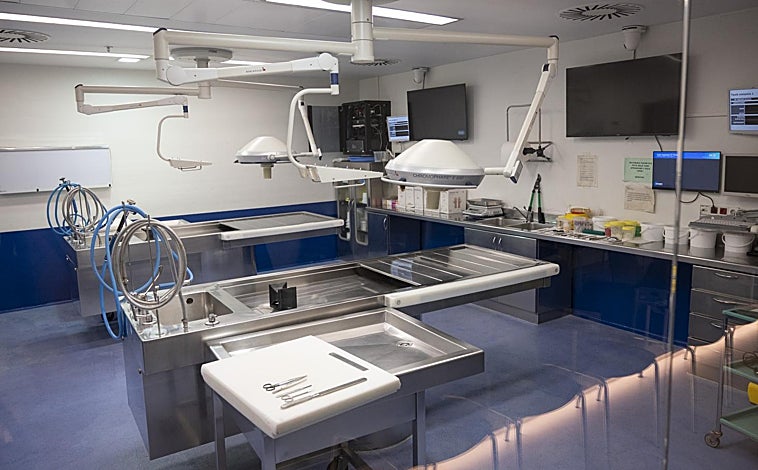 Imagen principal - Cataluña es la comunidad, junto a Andalucía, donde más autopsias se realizan. Unas 4.500 anuales, pero son sólo una parte ínfima de la actividad del Anatómico forense. Arriba, una de las salas donde se llevan a cabo. Entre otros, los forenses analizan muestras biológicas y de tóxicos en su laboratorio -sobre estas líneas-. 