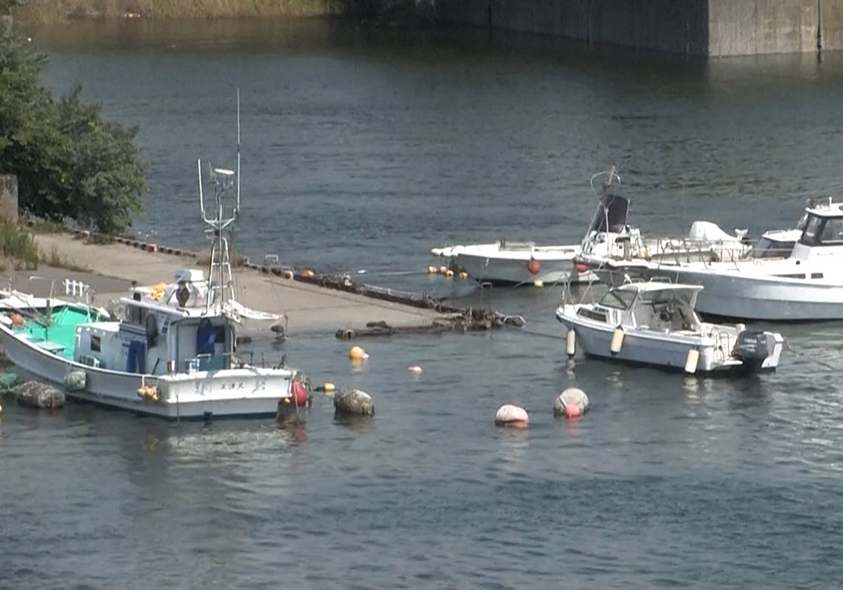 Vídeo | Así ha crecido la marea en la costa de Japón después del terremoto en Rusia