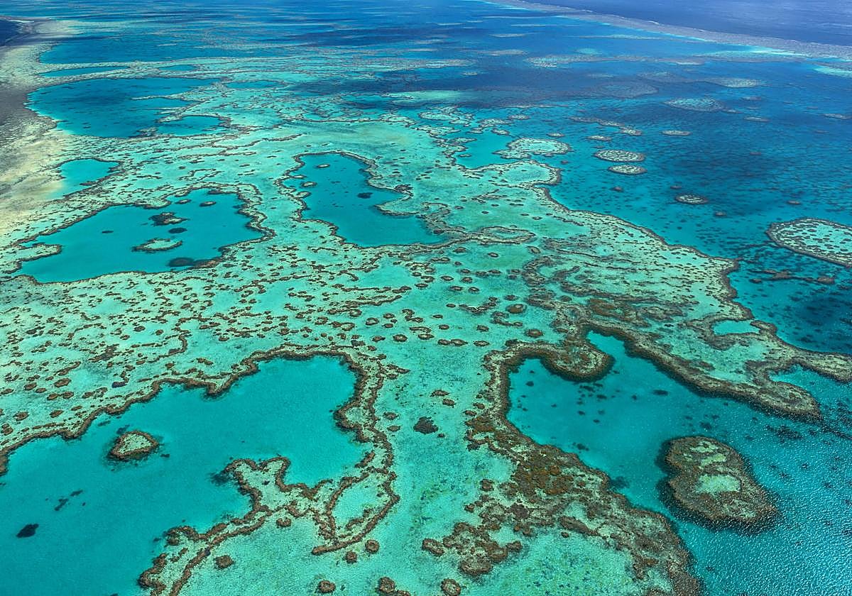 La Gran Barrera de Coral