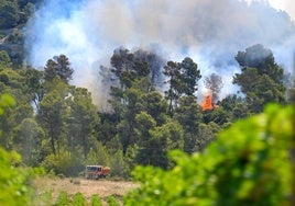 Estabilizado el incendio en el sur de Francia tras quemar 17.000 hectáreas