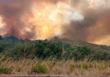 España arde con miles de hectáreas quemadas, patrimonio dañado, cientos de desalojados y un fallecido