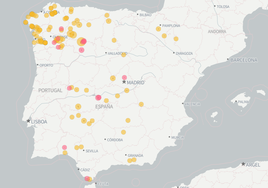 El mapa de los incendios en España en agosto de 2025: ¿cuáles están activos?