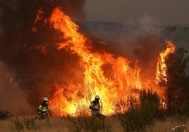 Incendios en España hoy, en directo: última hora del fuego en Madrid León, Orense y Tarifa
