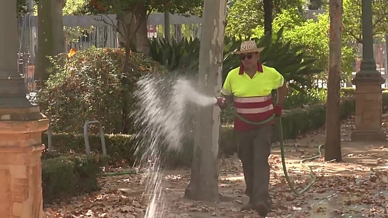 AEMET informa de que el pasado martes 12 de agosto fue el día más