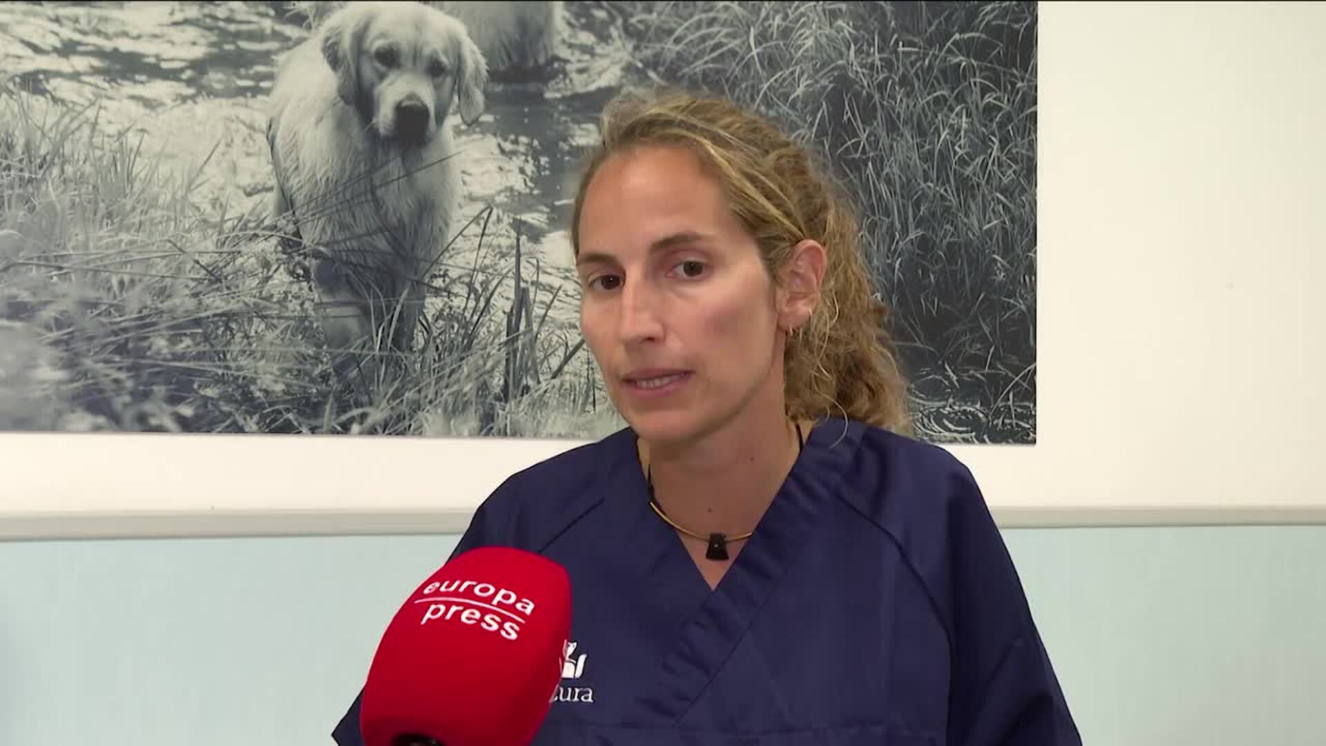 Veterinarios advierten de los riesgos de quemaduras e inhalación de humo en mascotas
