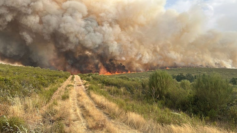 Vista del incendio forestal en Puercas, Zamora