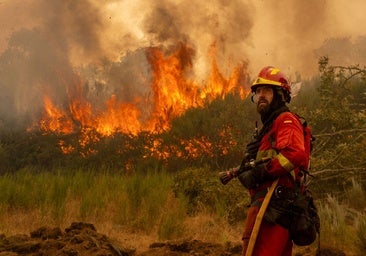 Olas de calor, abandono del monte y el ser humano: el «cóctel explosivo» de los incendios en España