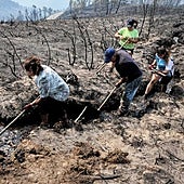 El fuego, sin tregua: «anómalo» y con pronóstico desfavorable en Castilla y León, Extremadura y Galicia