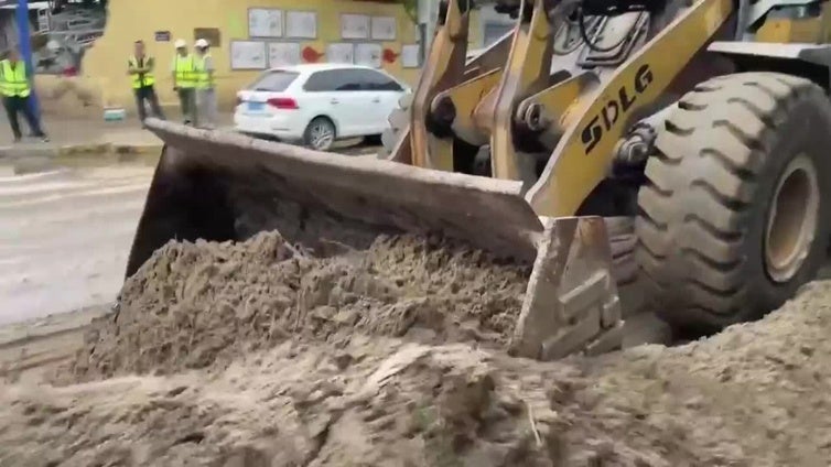 Expertos apuntan que el clima en el norte de China se vuelve cada vez más "sureño"