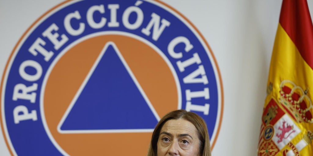Protección Civil señala una «evolución favorable» de los incendios con 15 todavía activos