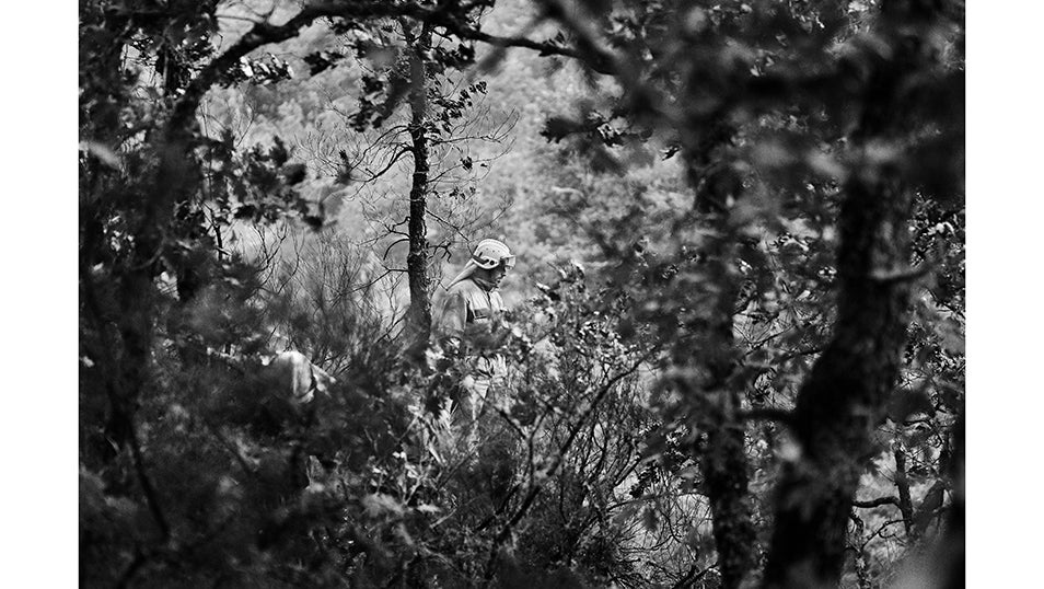 Un bombero avanza entre la espesura, atento al terreno mientras el humo empieza a colarse entre los árboles. La imagen refleja la dureza del trabajo en primera línea: caminar entre ramas, matorrales y laderas pronunciadas, donde cada metro ganado es un esfuerzo físico y mental. En Fornela, los equipos terrestres recorren a pie zonas difíciles, abren cortafuegos y vigilan los puntos calientes que pueden reavivar el incendio. La tarea exige resistencia y concentración: largas horas en condiciones extremas, con poca visibilidad y la amenaza constante de que el viento cambie y reactive el fuego. El incendio, iniciado en Anllares del Sil, lleva más de diez días poniendo en jaque al Bierzo y amenaza a pueblos como Cariseda, Peranzanes y San Pedro de Paradela. La labor de los equipos que trabajan a pie no solo frena el avance de las llamas: es la última línea de defensa que permite proteger casas, caminos y el trabajo de generaciones en el valle de Fornela.
