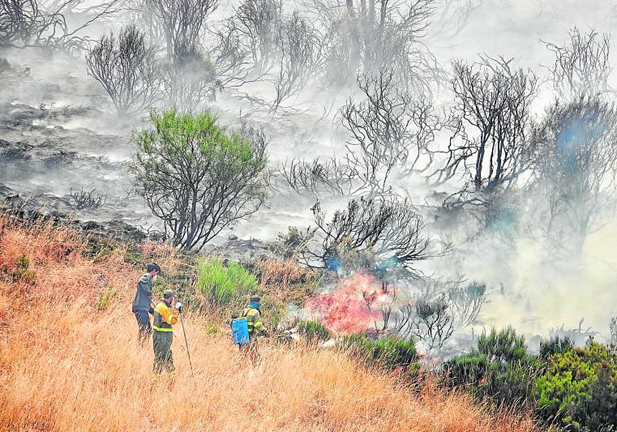 Incendios en Castilla y León y Galicia, en directo: fuegos activos y noticias del resto de España hoy