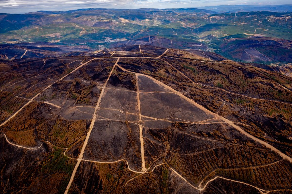 Las llamas del incendios de Oímbra y Xinzo de Limia dejan 17.000 hectáreas: el tercer peor incendio de Galicia durante el verano y uno de los peores de su historia