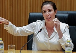 Vox le reprocha al Gobierno que sólo se fije en las 48 mujeres asesinadas por sus parejas y no en los 35 niños y 34 hombres muertos en sus hogares