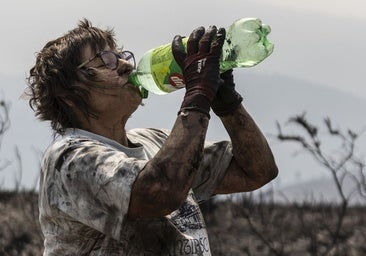 Los incendios forestales «extremos» como los de este verano se repetirán cada 15 años