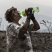 Los incendios forestales «extremos» como los de este verano se repetirán cada 15 años