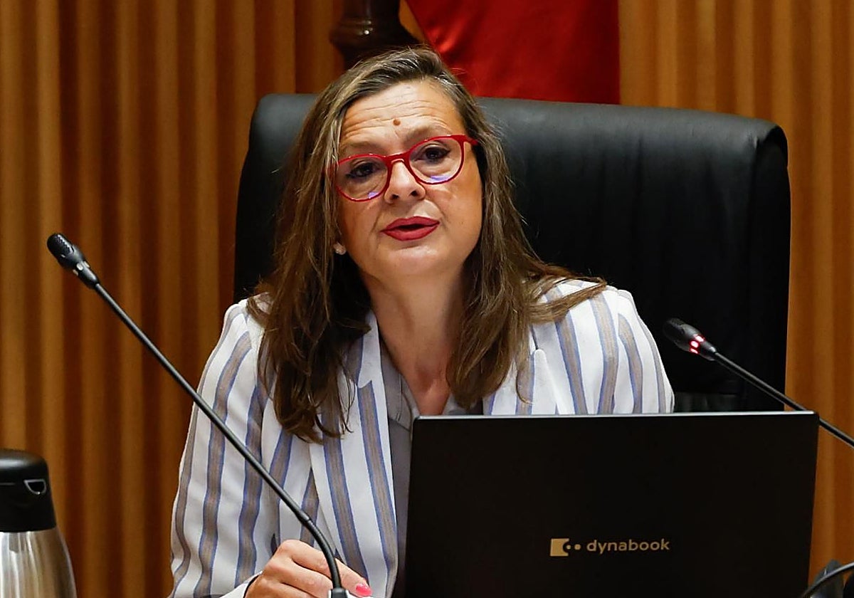La delegada del Gobierno contra la Violencia de Género, Carmen Martínez Perza, comparece ante el Congreso de los Diputados