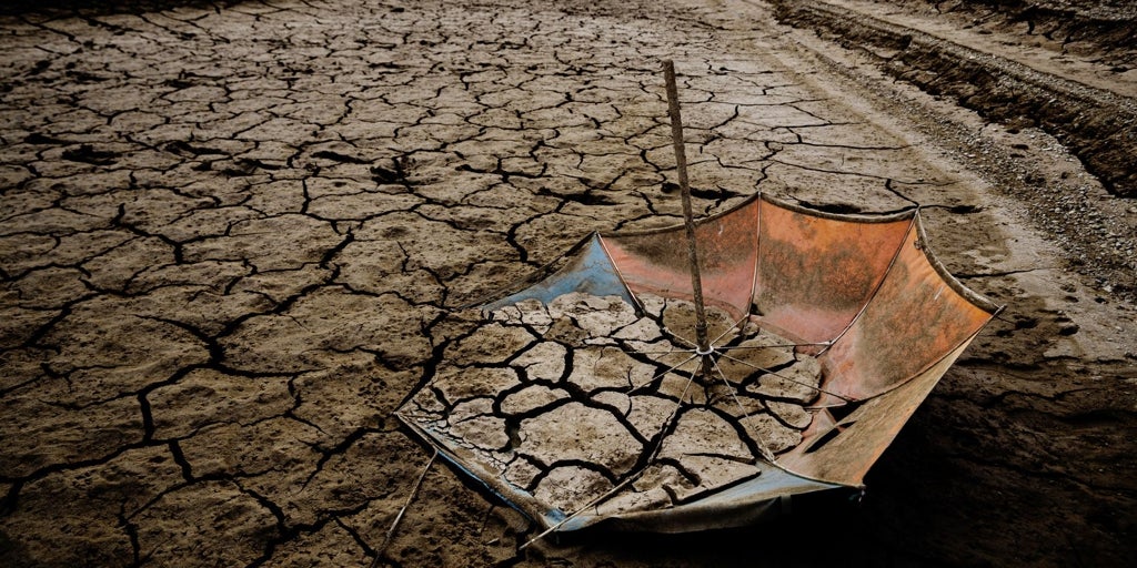 España afronta 51 riesgos climáticos clave que amenazan la salud, la economía y la biodiversidad