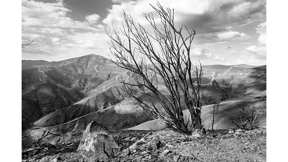 Así dejo tras de si el fuego Paisaje los valles de San Martín de Valdehorras tras el incendio que asoló la provincia de Ourense el pasado mes de Agosto. 