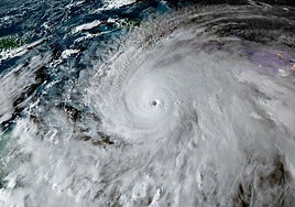 Detectan miles de pájaros volando en círculos dentro del ojo del huracán 'Melissa'