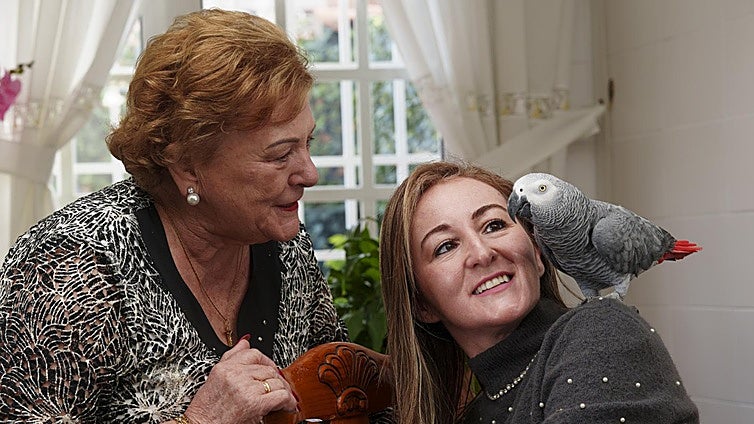 El Gobierno expropia un loro a una mujer de 75 años: «El trato fue inhumano»
