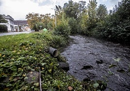 Las cenizas de los incendios del verano envenenan ahora los ríos