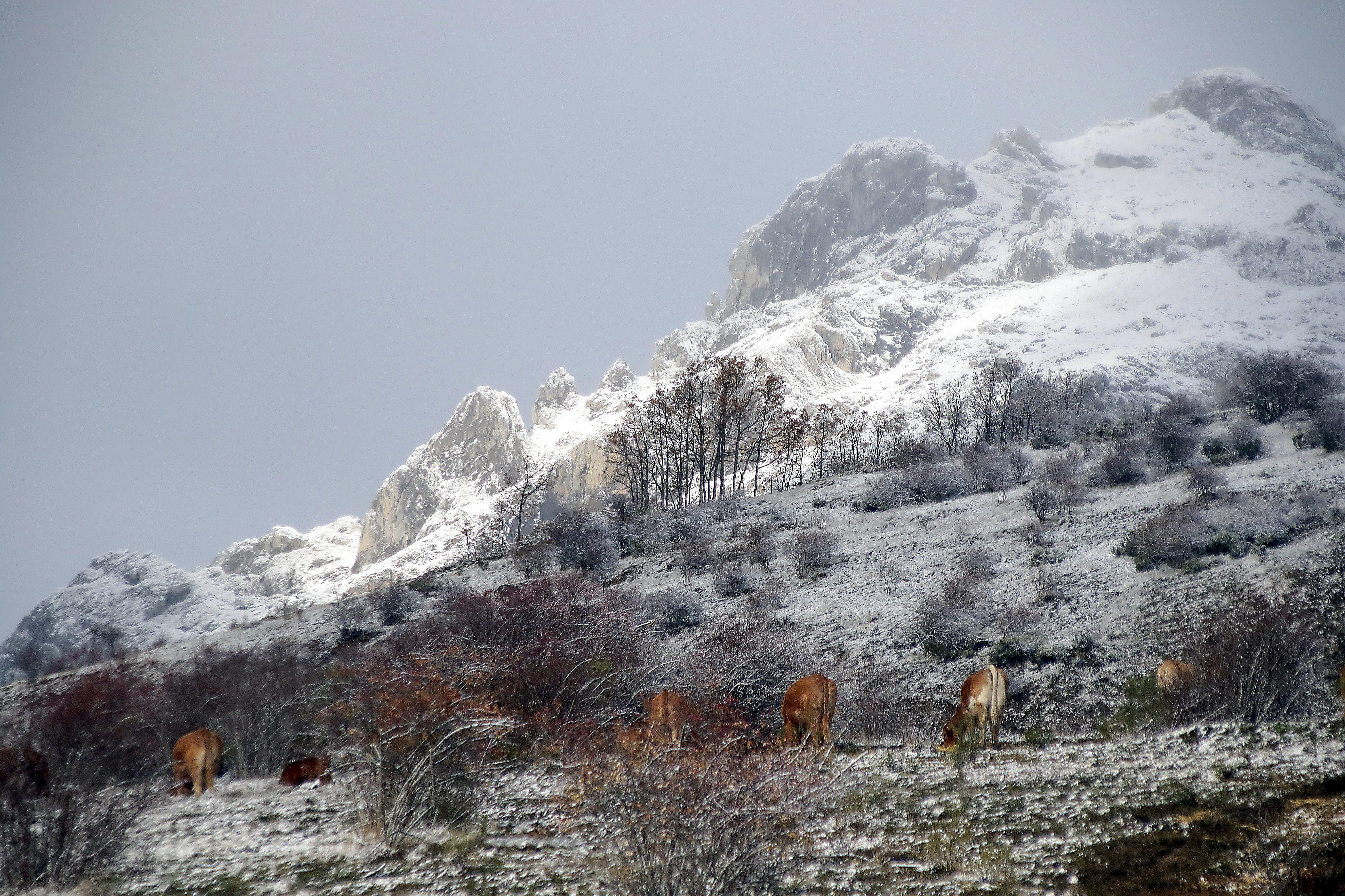 La nieve obliga a usar cadenas en cuatro tramos viarios de las provincias de Burgos y León