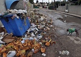 Cuba se hunde en una crisis sanitaria sin precedentes por una ola de infecciones transmitidas por mosquitos que arrasa la isla