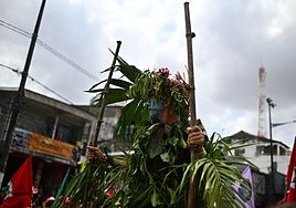 La COP30 deja a un lado la ruta contra la deforestación en un borrador debilitado por la presión petrolera