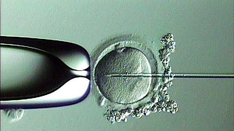 La OMS pide políticas públicas contra la infertilidad: «Es uno de los desafíos  más ignorados de nuestro tiempo»