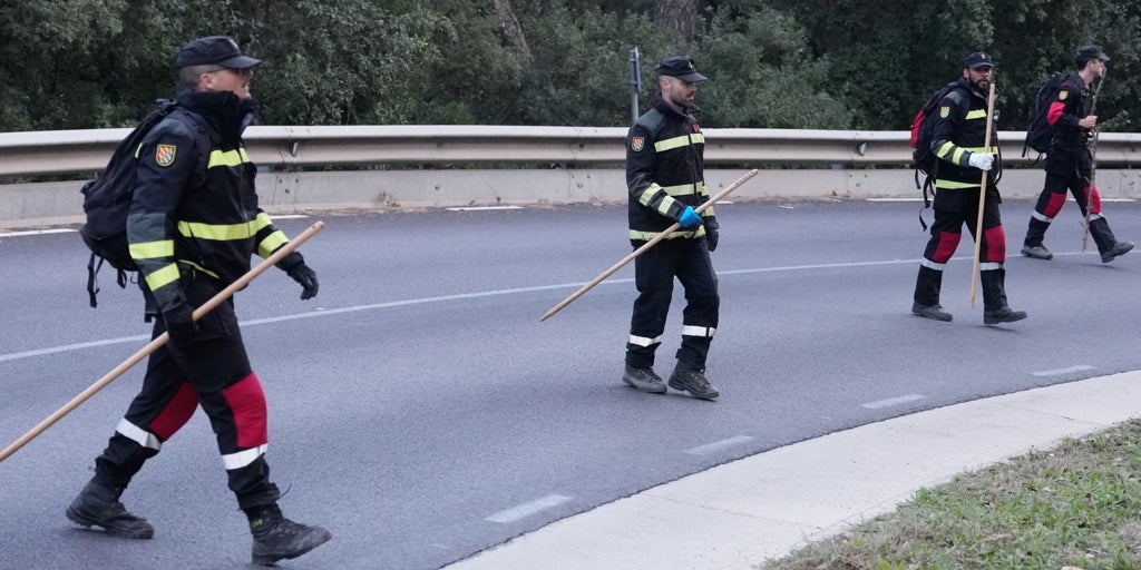La AP-7, la vía de máximo riesgo para la expansión de la peste porcina africana