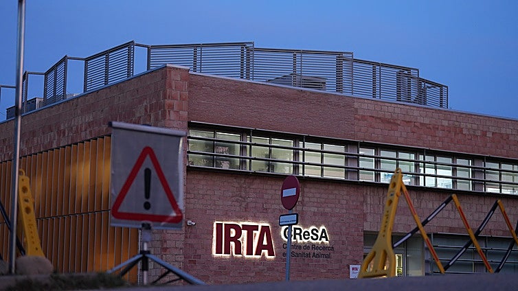 El laboratorio bajo sospecha de propagar la peste porcina investiga con la misma cepa causante del brote de Barcelona