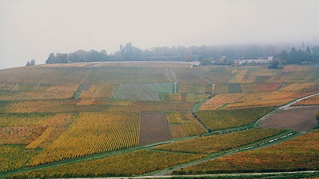 En la abadía de Hautvillers, ubicada en la región de Champagne, nació Dom Pérignon en el siglo XVII.