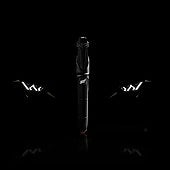 Lamborghini lanza su primera colección de escritura con precios que rondan los miles de euros