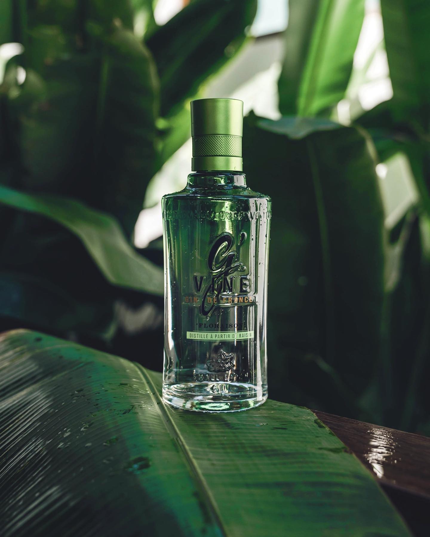 Con un aroma sumamente sutil y un sabor inconfundible, esta ginebra floral sigue un exclusivo proceso de destilación a base de uva verde de tipo Ugni Blanc y, a la vez, destilada con la propia flor de uva. En los días de floración de los viñedos franceses de la región de Cognac, donde se encuentra esta singular flor que germina sólo en un breve periodo del mes de junio, es la época del año cuando se corta a mano la flor de la uva y se macera durante varios días para obtener su esencia, que se destila después en un pequeño alambique florentino, obteniendo como resultado una ginebra inigualable. PVPR: 34.90€