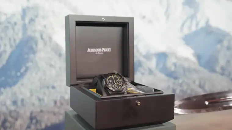 Schwarzenegger vende un reloj no declarado por 270.000 euros en