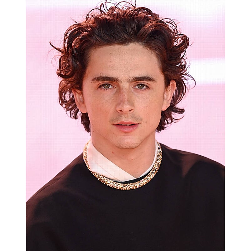 La melena a capas de Timothée Chalamet es ideal para hombres con el cabello ondulado o rizado.