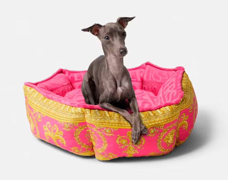 Cama para perros y gatos de Versace.