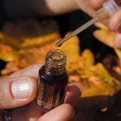 Qué es el oud, el ingrediente más caro y deseado de la perfumería