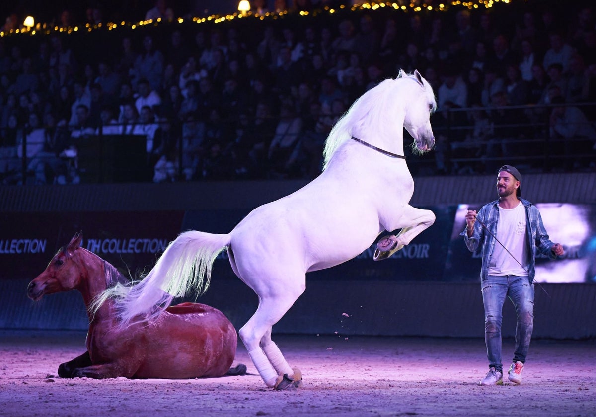 Santi Serra durante uno de sus espectáculos de adiestramiento de caballos