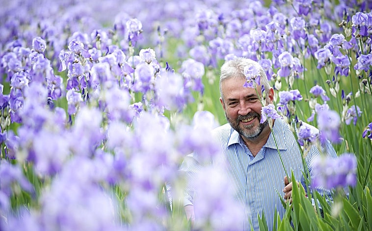 Imagen principal - Musk es el perfume que, según numerosos medios, utiliza Brad Pitt, y Teint de Neige es una de las fragancias más vendidas de la marca italiana Lorenzo Villoresi. 