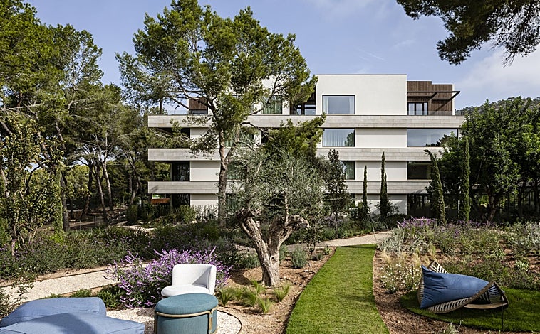 Imagen principal - Cerca de 12.000 especies de la zona crecen alrededor del hotel boutique. 