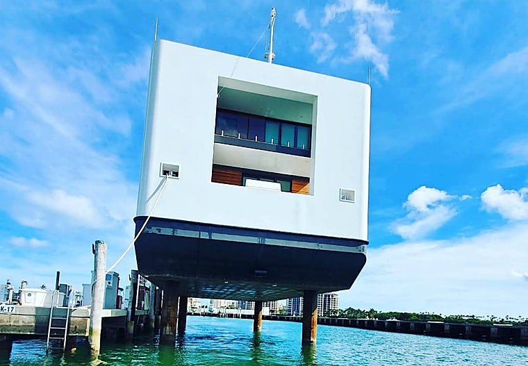 Arkup levantado en sus cuatro patas