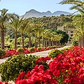 Dormir en un castillo del S. XIX con restaurante de estrella Michelin, el lujo silencioso de Mallorca