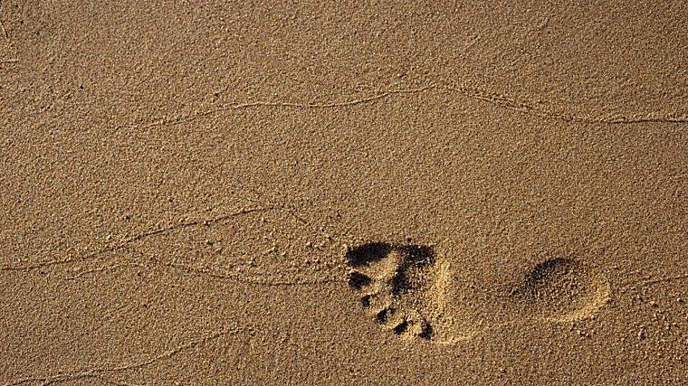 Pisada sobre la arena