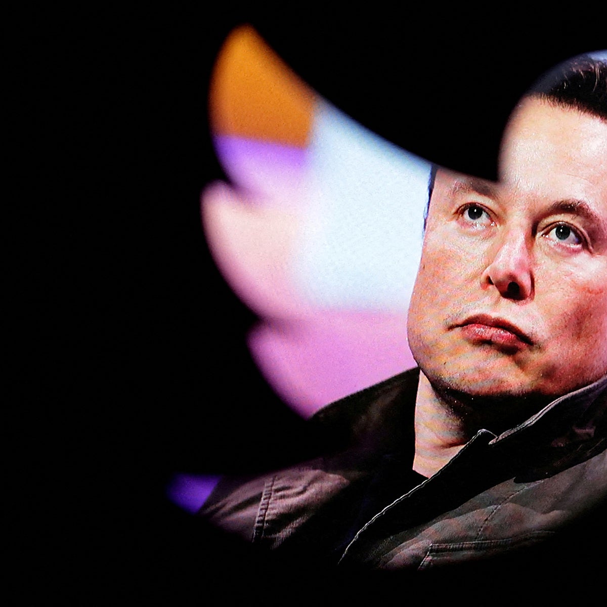 «El pajarito no es neutral»: el gran desafío del Twitter de Elon Musk