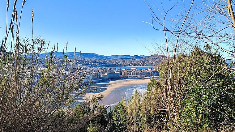 Imagen tomada con el sensor principal del V2