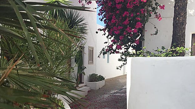 Calle típica donde destaca el contraste de fachadas blancas con el verde de la vegetación.